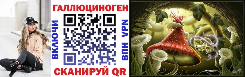 Галлюциногенные грибы GOLDEN TEACHER  Великий Новгород 
